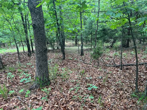 0 Bristow Point Rd, McAlester, OK, 74501 | Card Image