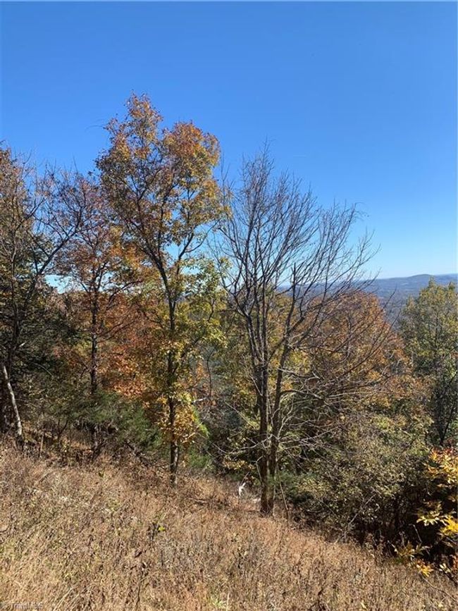 Lot 9 Falcon Ridge Dr, Home with 0 bedrooms, 0 bathrooms and null parking in Moravian Falls NC | Image 12