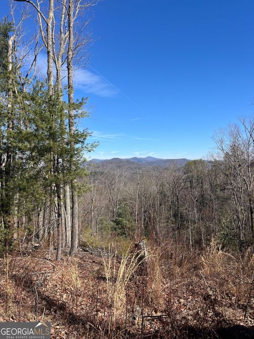 0 Eastman Mountain Rd, Tiger, GA, 30576 | Card Image