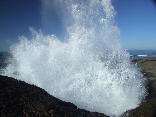 10247 Cabrillo Hwy, Pescadero, CA, 94060-9755 | Card Image