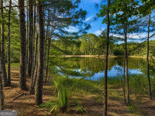 100 La Vento Lane, WAVERLY, GA, 31565 | Card Image