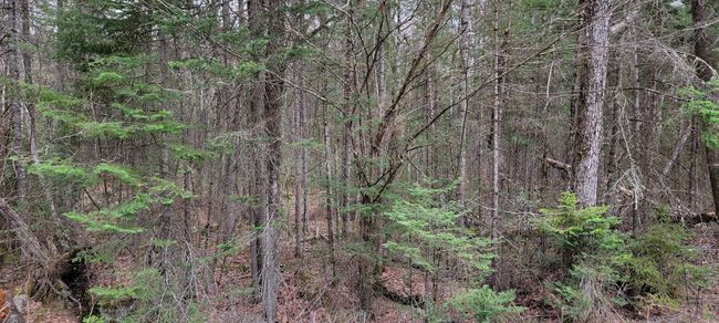 Lot 12 Mirror Lake Estates Dr, Home with 0 bedrooms, 0 bathrooms and null parking in Whitefield NH | Image 23