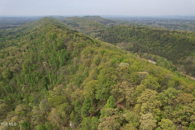 0 Coy Bradley Ln, Home with 0 bedrooms, 0 bathrooms and null parking in Bulls Gap TN | Image 9