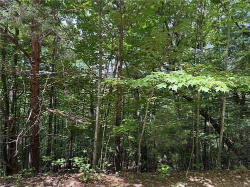 Lot 132A Warren Way, Purlear, NC, 28665 | Card Image
