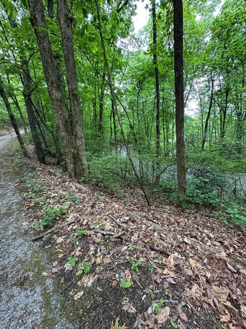 000 Wheeler Ave, Chattanooga, TN, 37406 | Card Image