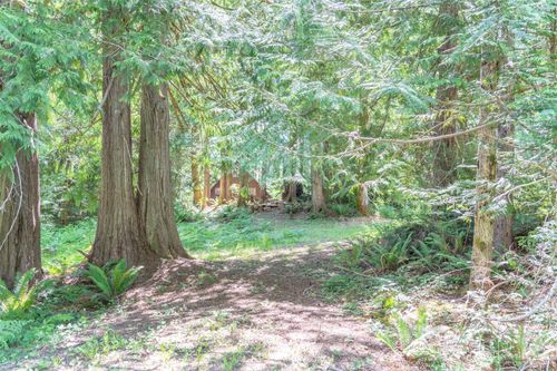 0 Maple Ave, Brinnon, WA, 98320 | Card Image