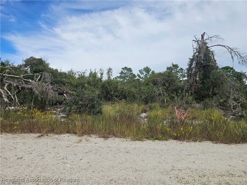 123 Patton Ave, LAKE PLACID, FL, 33852 | Card Image