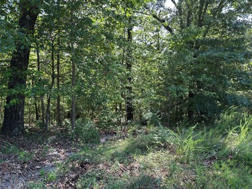 44 Reading Ln, Bella Vista, AR, 72714-4026 | Card Image