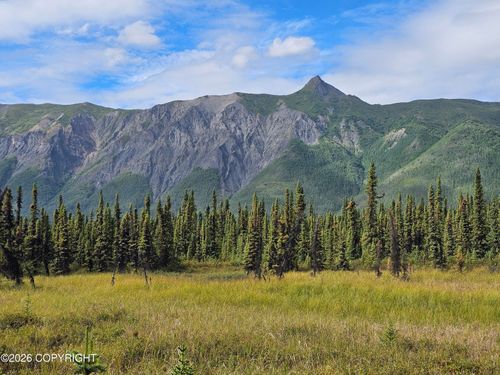 34033 W Arnica Ave, Chickaloon, AK, 99674 | Card Image