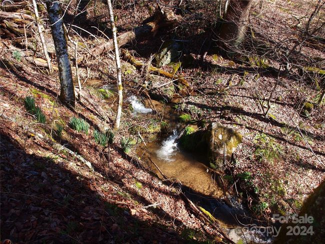 664 Woodfin Rd, House other with 2 bedrooms, 1 bathrooms and null parking in Sylva NC | Image 31