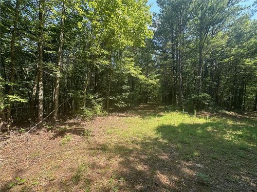 40 Patriot View Trl, Dahlonega, GA, 30533-1287 | Card Image