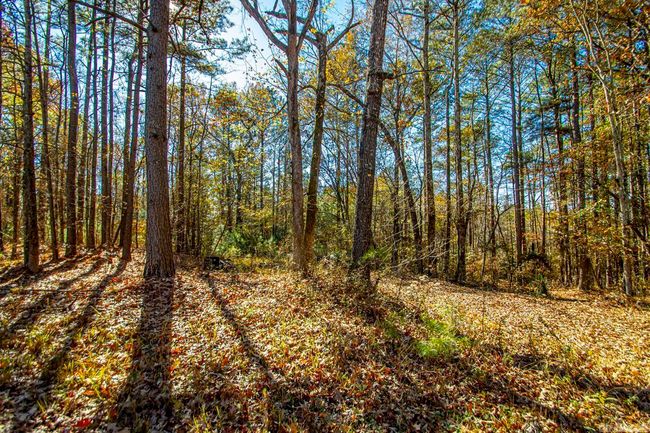 001-09449-000 Prysock Road, Home with 0 bedrooms, 0 bathrooms and null parking in Benton AR | Image 24