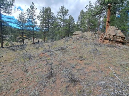 1077 Roland Dr, Bailey, CO, 80421-2169 | Card Image