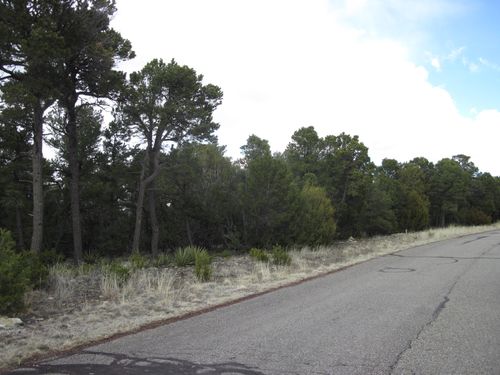 207 Via Sedillo, Tijeras, NM, 87059-7960 | Card Image