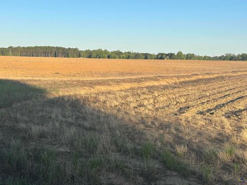 Lot# 26 2587 (19+/- Acres) Elko Road, Elko, GA, 31025-9999 | Card Image