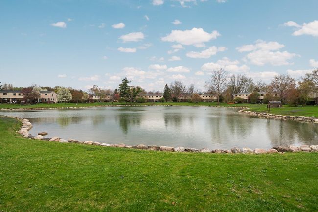 33-web-or-mls-DSC00806 | Image 31