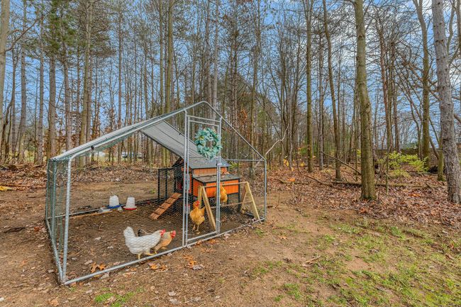 Backyard | Image 23