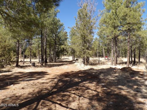 47-3900 Morning View Dr, Happy Jack, AZ, 86024 | Card Image