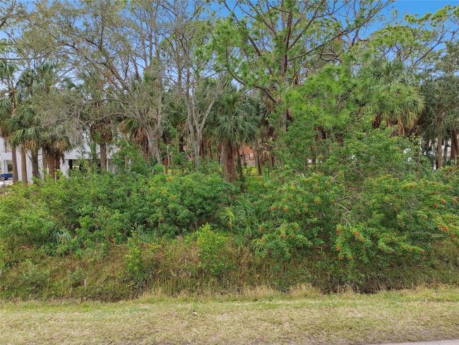 00 Phoenix Ave, Home with 0 bedrooms, 0 bathrooms and null parking in OLDSMAR FL | Image 18
