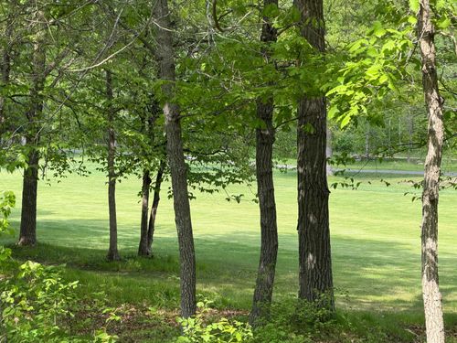 TB County Road 16, Pequot Lakes, MN, 56472 | Card Image