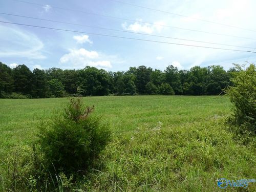 9.2 Ac County Road 4006, Crane Hill, AL, 35053 | Card Image