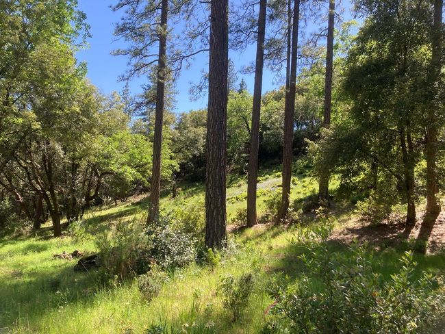 16688 Sonshine Ln, Home with 0 bedrooms, 0 bathrooms and null parking in Sutter Creek CA | Image 55