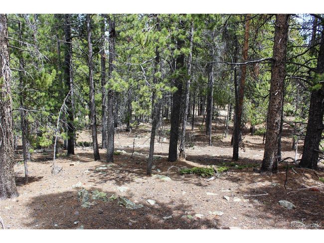 435 Aspen Rd, Home with 0 bedrooms, 0 bathrooms and null parking in Black Hawk CO | Image 33
