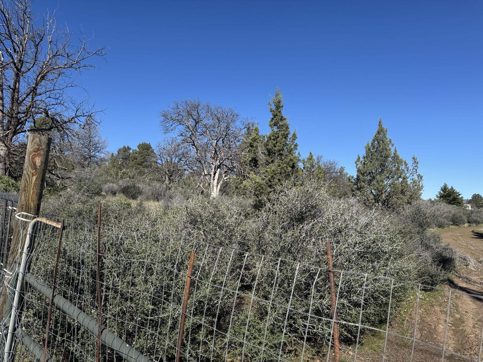 Land in Hornbrook 3
