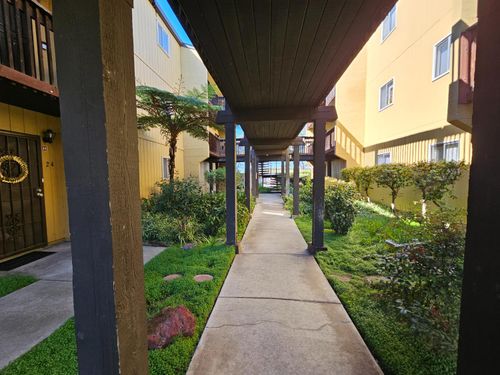 apt-37-1060 Oak Grove Rd, Concord, CA, 94518-3141 | Card Image