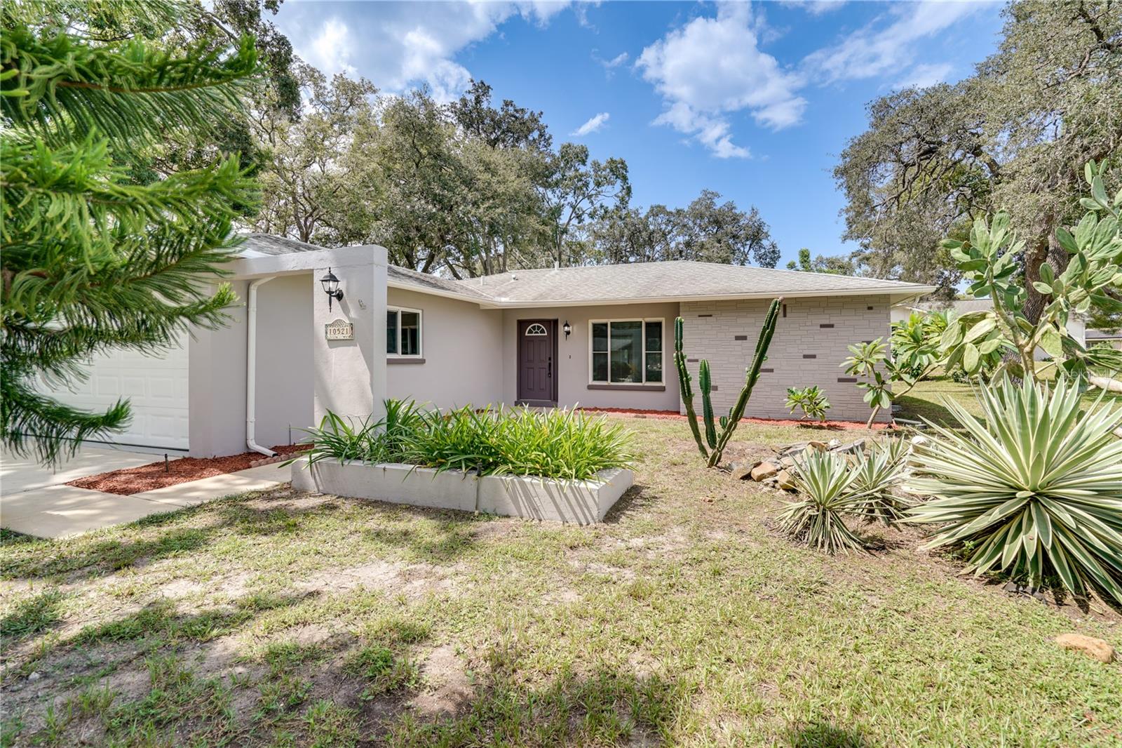 Calico Loop, Port Richey, FL 34668
