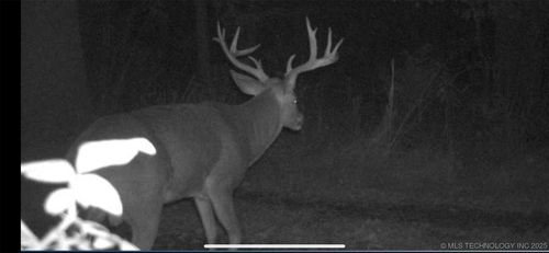 5077 N 384 Rd, Stuart, OK, 74570-5578 | Card Image