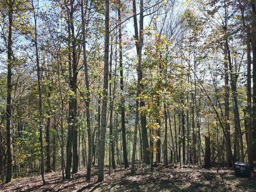 4 Rendezvous Ridge Road, Cashiers, NC, 27265 | Card Image