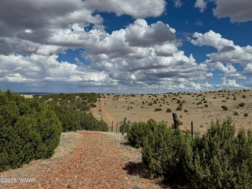 TBD Gene Taylor Ranch Rd, Taylor, AZ, 85939 | Card Image