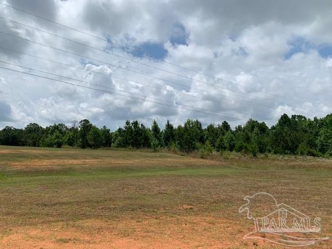 19600 Highway 43, Home with 0 bedrooms, 0 bathrooms and null parking in Grove Hill AL | Image 11