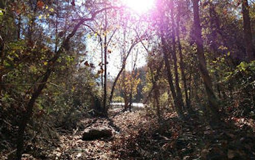 000 Buttermilk Spring Rd, Galena, MO, 65656 | Card Image