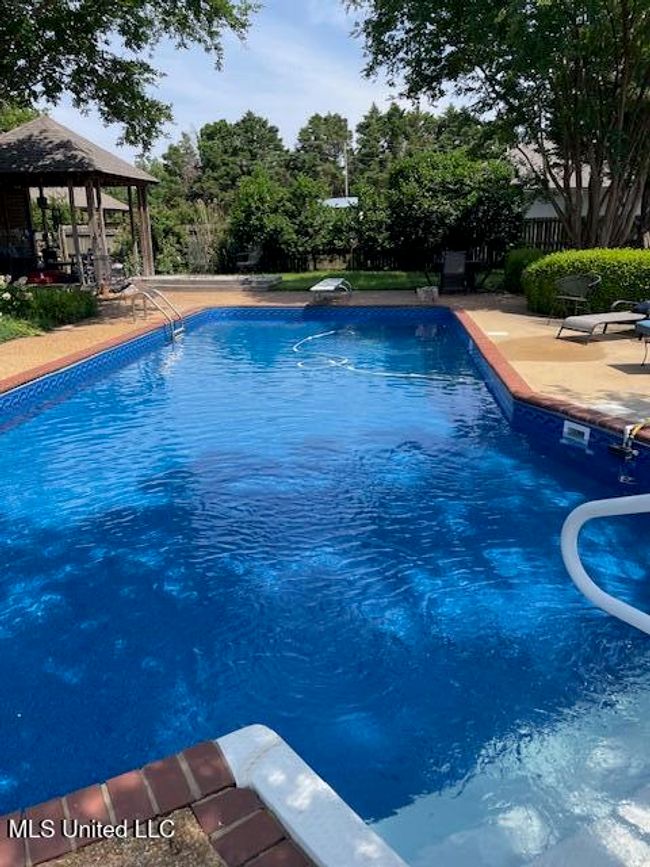 806 VIney Ridge pool new | Image 18