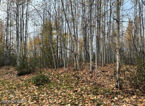 Tr A S Horseshoe Lake Rd, Wasilla, AK, 99623 | Card Image