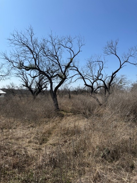 Land in Llano 5