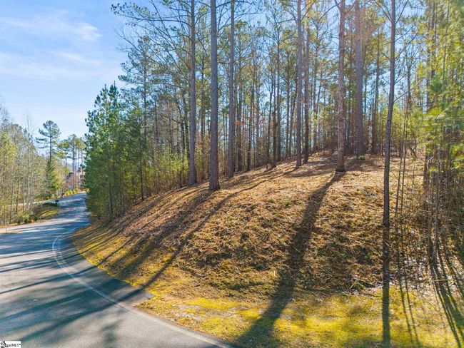 0 Long Cove Trl, Home with 0 bedrooms, 0 bathrooms and null parking in Salem SC | Image 14