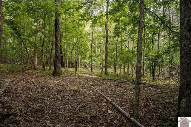 Land in Benton 4