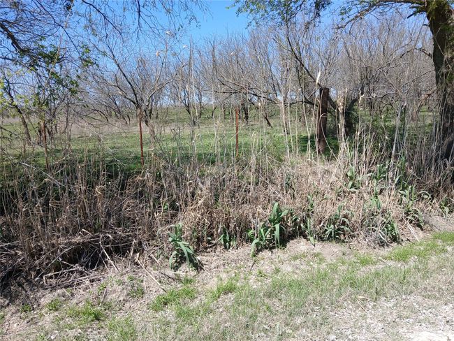1753 Hcr 3242, Home with 0 bedrooms, 0 bathrooms and null parking in Mount Calm TX | Image 19