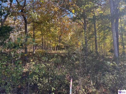 Lot 2 Cann School Ln, Eastview, KY, 42732-9713 | Card Image