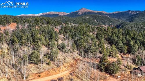 741 Pikes Peak Dr, Divide, CO, 80814 | Card Image