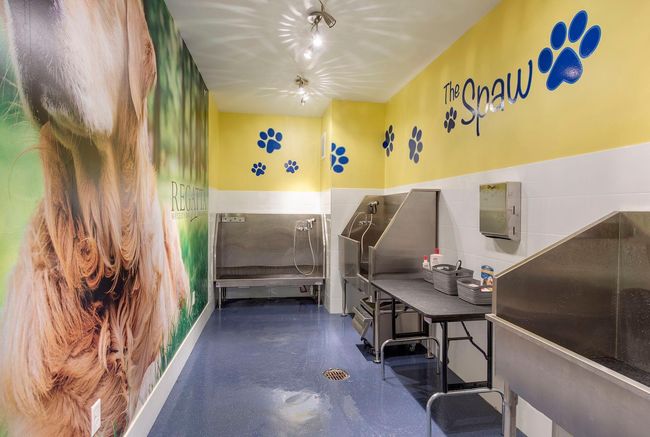 Pet friendly building with its own pet "spaw" | Image 35