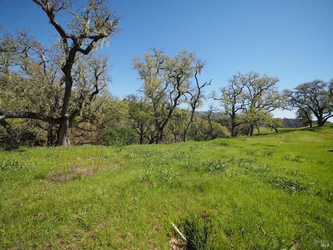 23655 Vineyard Rd, Home with 0 bedrooms, 0 bathrooms and null parking in Geyserville CA | Image 15