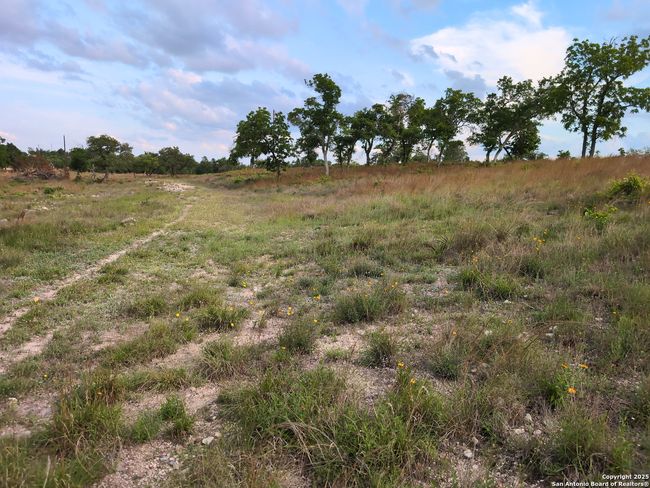 130 Falling Leaves Ct, Home with 0 bedrooms, 0 bathrooms and null parking in Blanco TX | Image 9