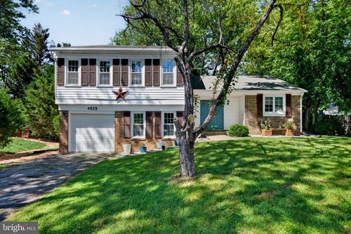 4525 Flintstone Rd, ALEXANDRIA, VA, 22306-1206 | Card Image