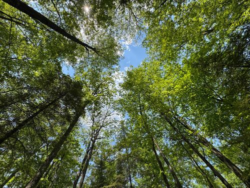 309/310 Deerwood Rd, Minocqua, WI, 54548 | Card Image