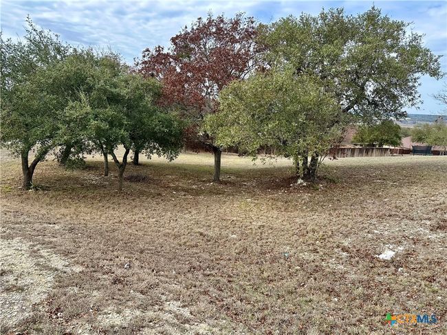 24 Andy's Pt Point, Home with 0 bedrooms, 0 bathrooms and null parking in Burnet TX | Image 6