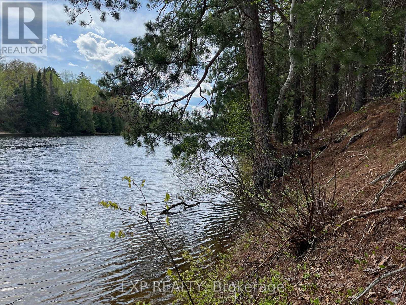 Land in Madawaska Valley 5